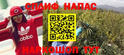 стаф Гагарин