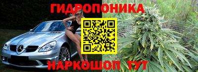 стаф Гагарин