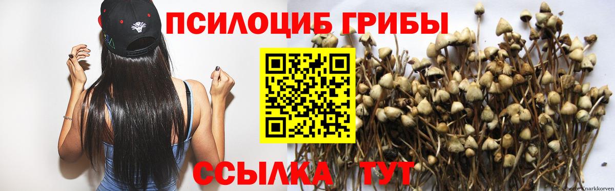 Псилоцибиновые грибы мухоморы Муравленко