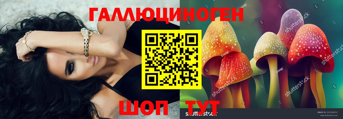 Псилоцибиновые грибы прущие грибы  Вход с VPN  наркошоп  Муравленко 